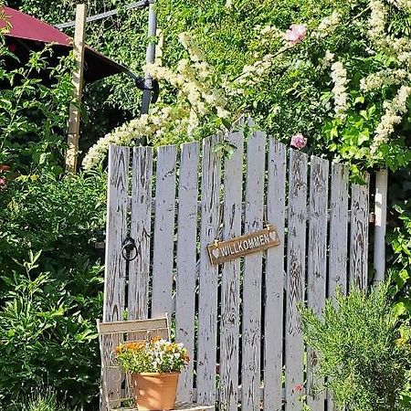 Gemuetliche Waldrandlage In Badenweiler Sehringen Ferienwohnung 外观 照片