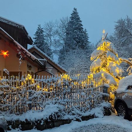 Gemuetliche Waldrandlage In Badenweiler Sehringen Ferienwohnung 外观 照片