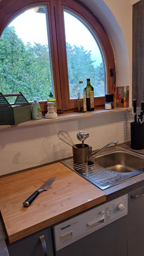 Gemuetliche Waldrandlage In Badenweiler Sehringen Ferienwohnung 外观 照片