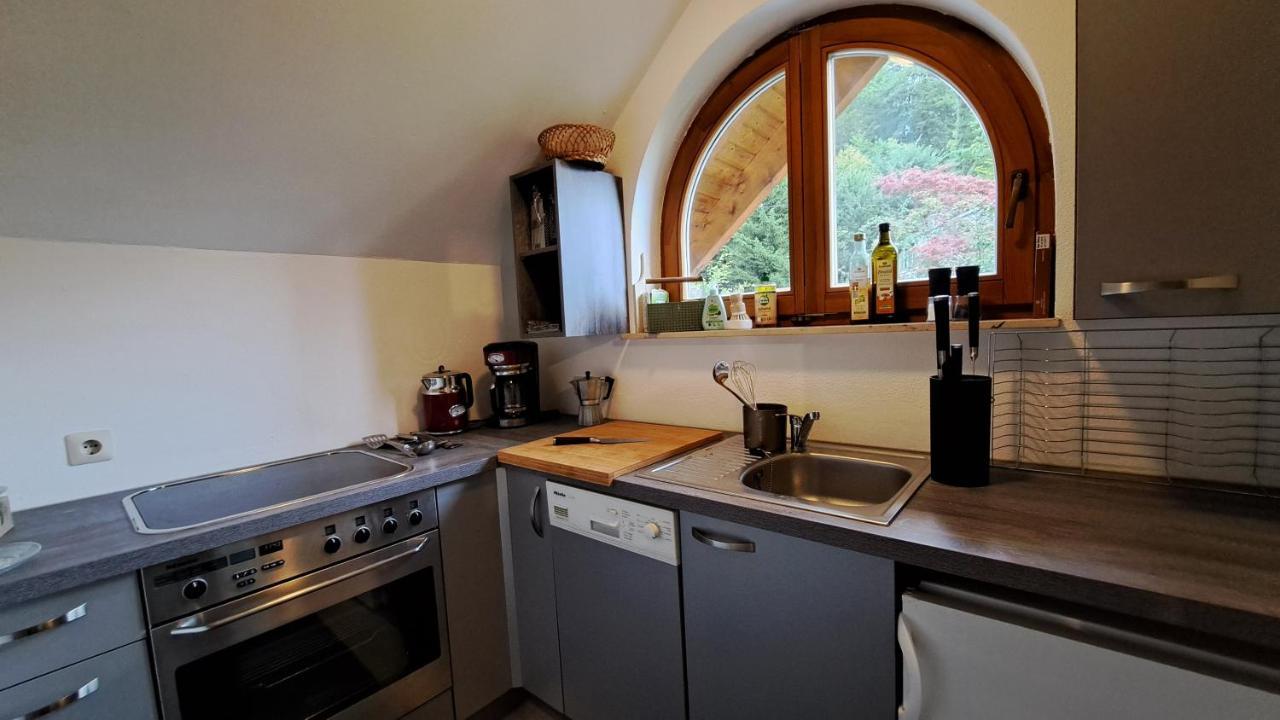 Gemuetliche Waldrandlage In Badenweiler Sehringen Ferienwohnung 外观 照片