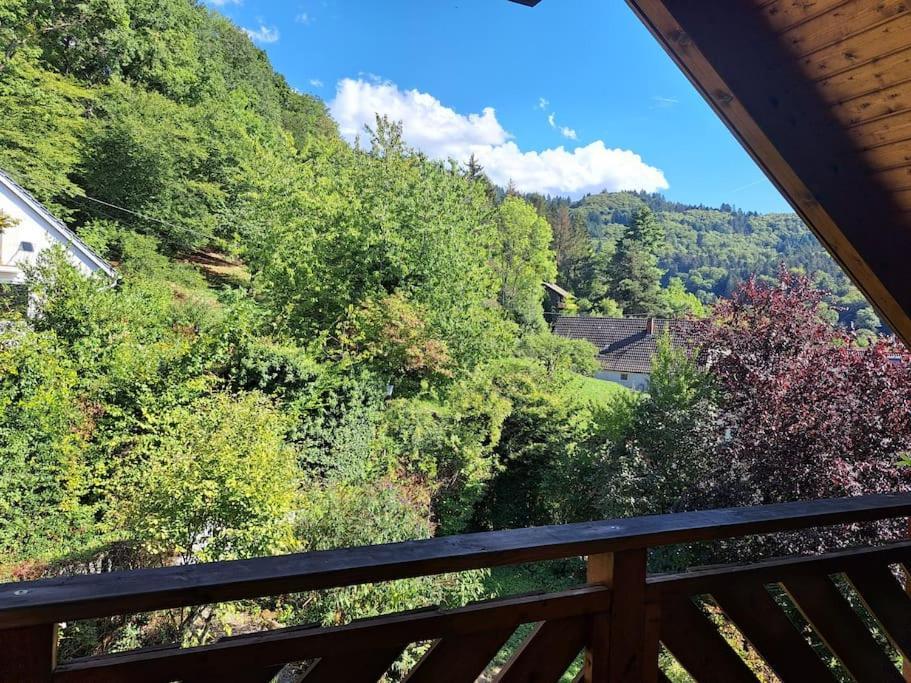 Gemuetliche Waldrandlage In Badenweiler Sehringen Ferienwohnung 外观 照片