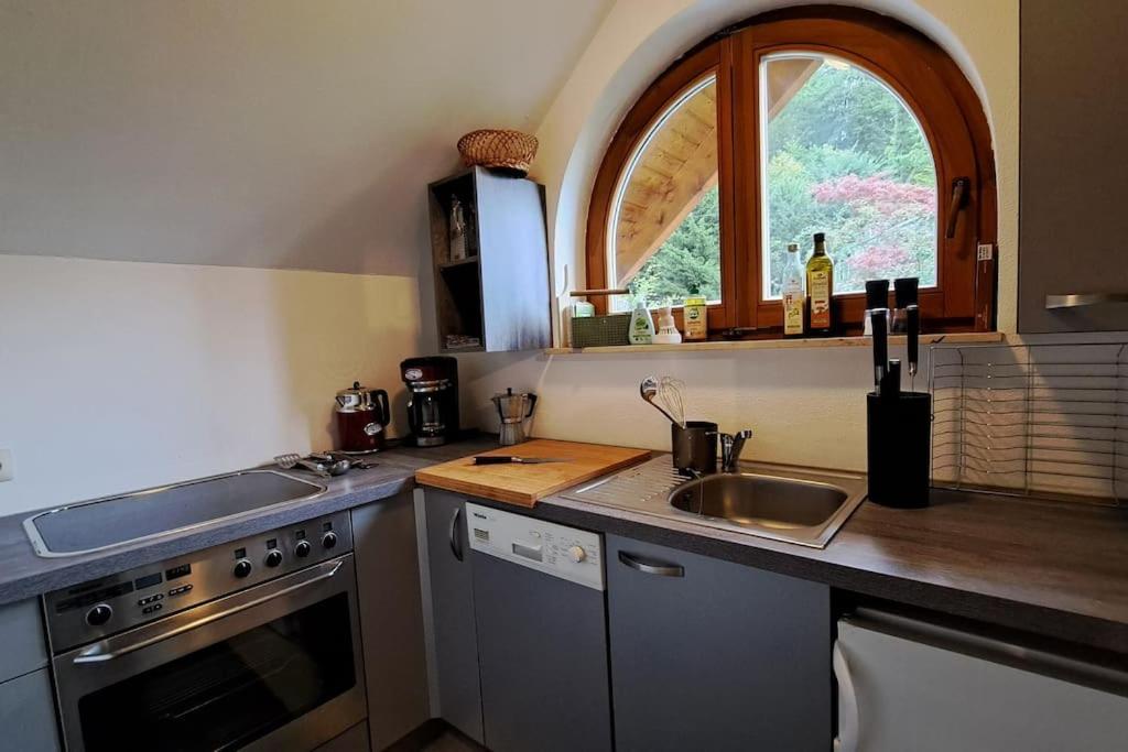 Gemuetliche Waldrandlage In Badenweiler Sehringen Ferienwohnung 外观 照片