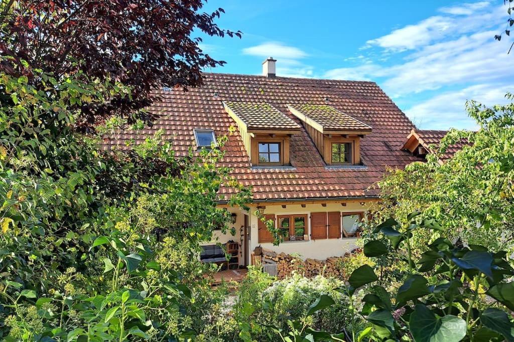 Gemuetliche Waldrandlage In Badenweiler Sehringen Ferienwohnung 外观 照片