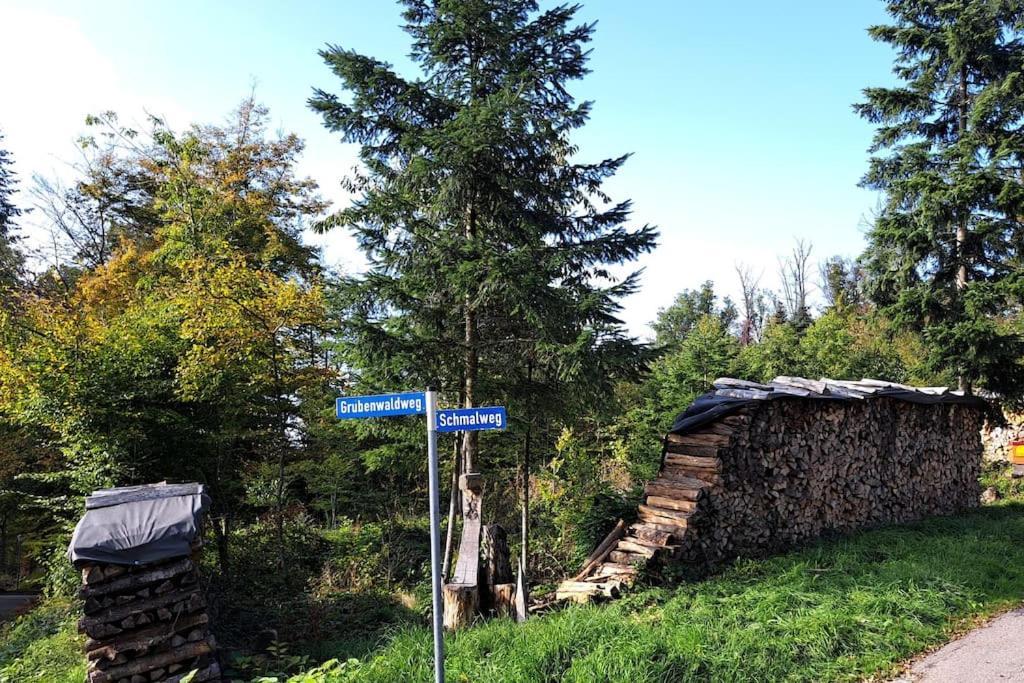 Gemuetliche Waldrandlage In Badenweiler Sehringen Ferienwohnung 外观 照片