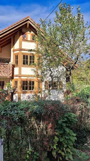 Gemuetliche Waldrandlage In Badenweiler Sehringen Ferienwohnung 外观 照片