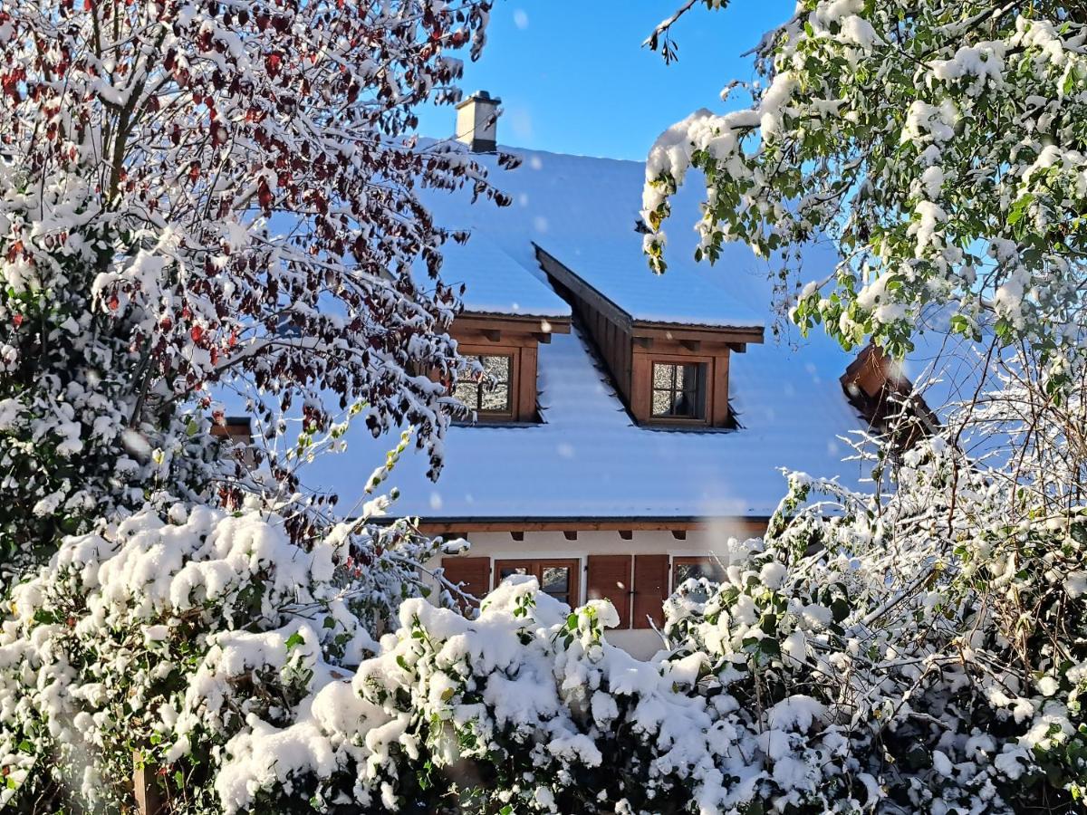Gemuetliche Waldrandlage In Badenweiler Sehringen Ferienwohnung 外观 照片
