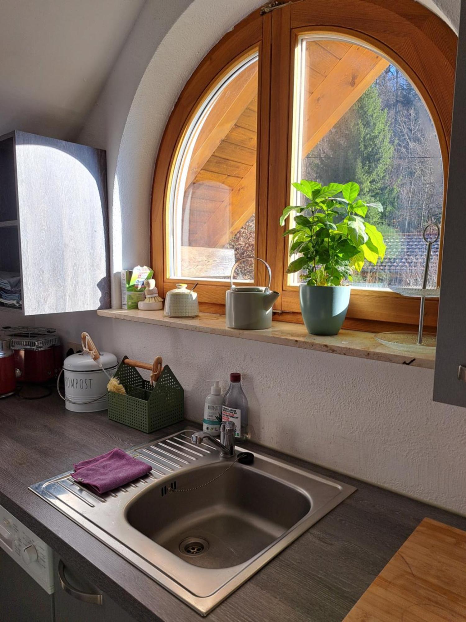 Gemuetliche Waldrandlage In Badenweiler Sehringen Ferienwohnung 外观 照片