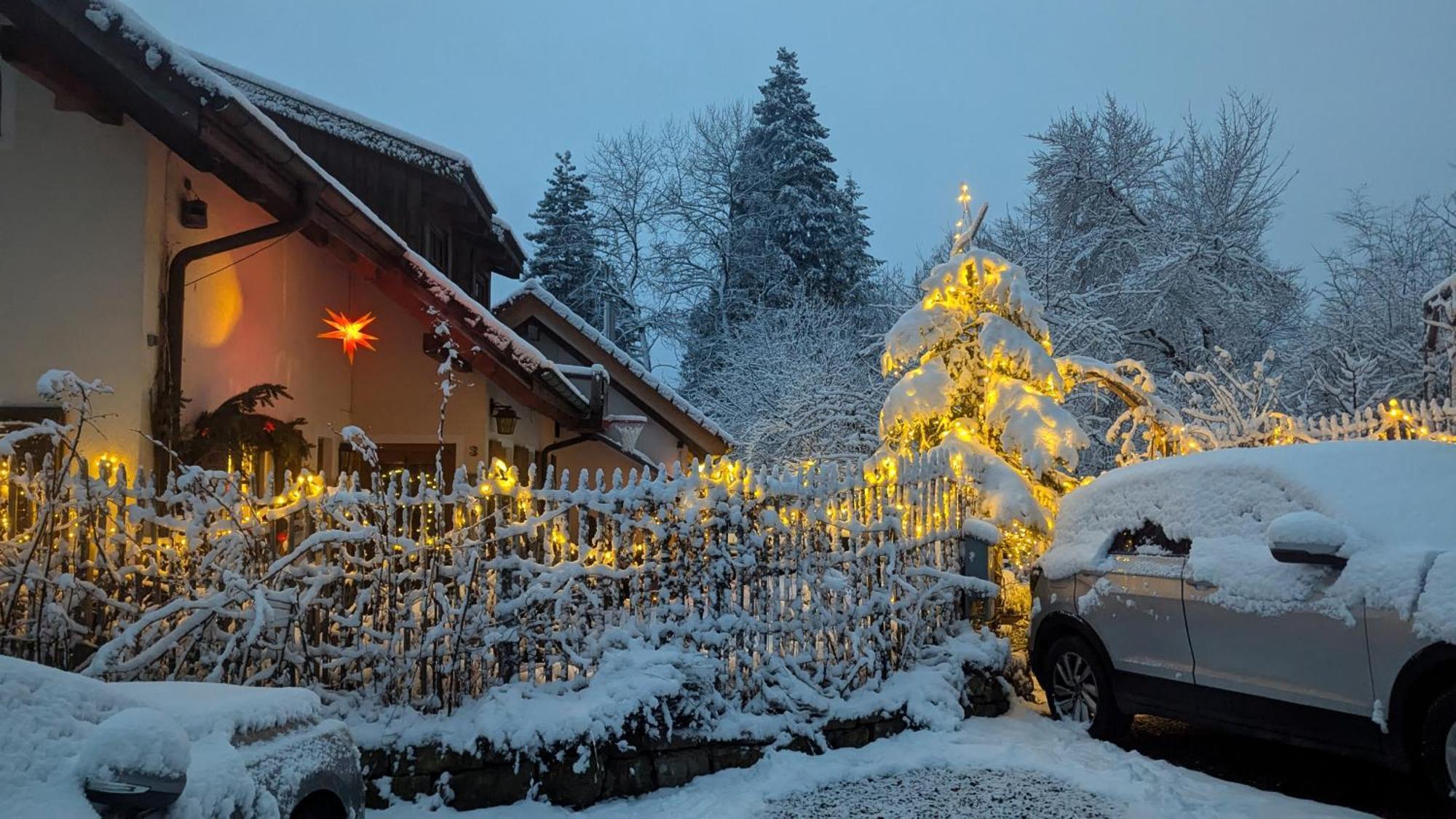 Gemuetliche Waldrandlage In Badenweiler Sehringen Ferienwohnung 外观 照片